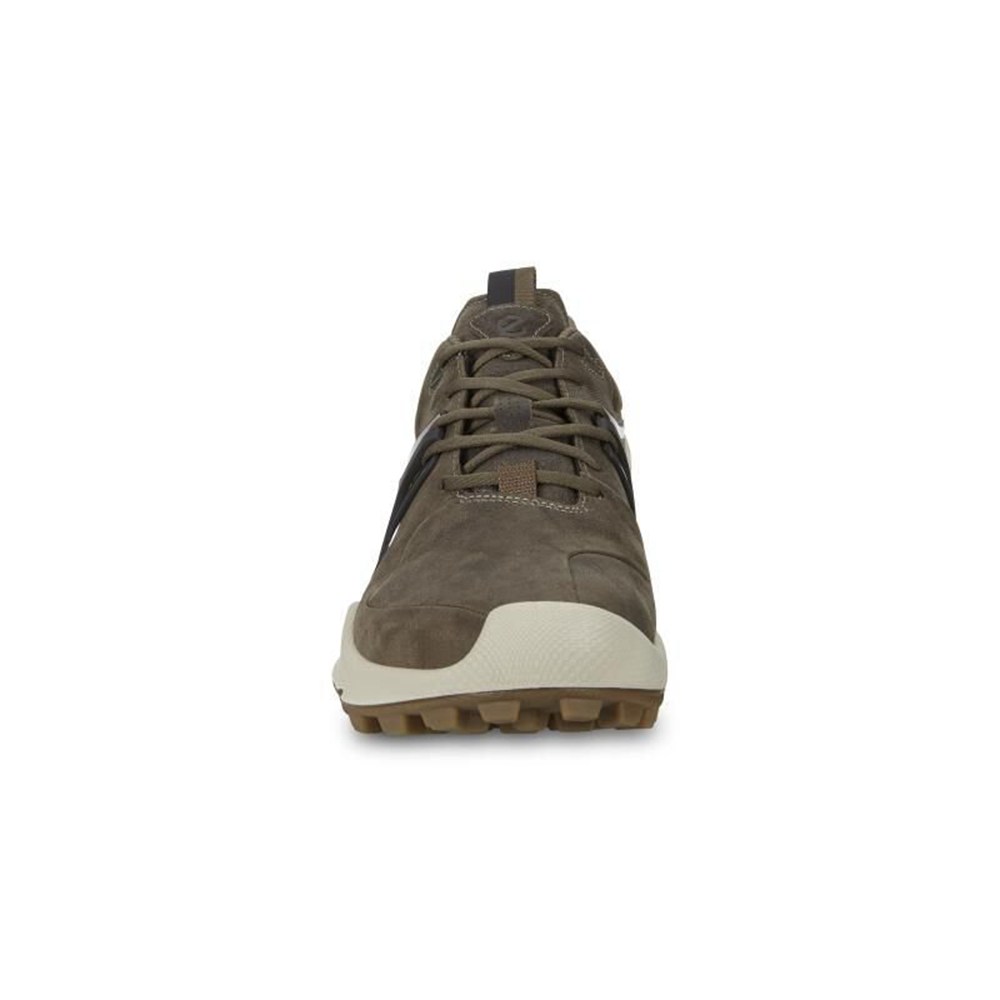 Tenis De Montaña Hombre - ECCO Biom C-Trail Bajos - Grises Oscuro - KNA460287